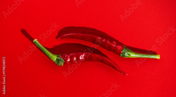 Obraz Red chili pepper red fruits, two eco bio fresh red hot chilli peppers spice over red background. Flat lay, top view. 