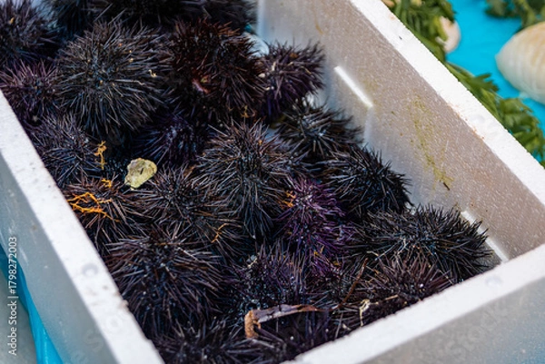 Fototapeta Raw sea urchins displayed at a farmers market in the Old Town of Nice, France
