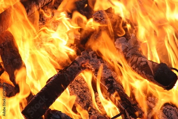 Obraz wood fire