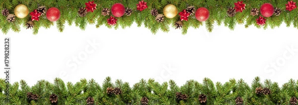 Obraz Evergreen branches on white