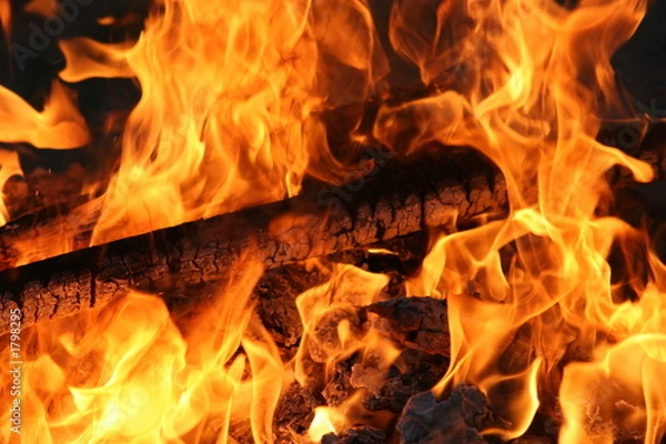 Fototapeta wood fire