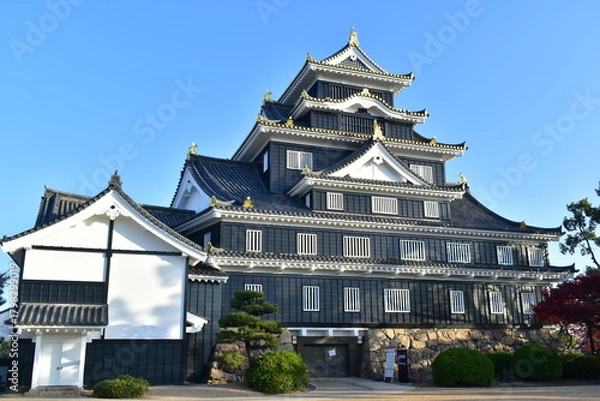 Obraz 岡山城　城　岡山