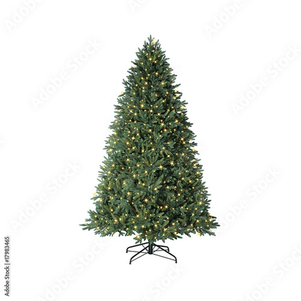 Obraz green christmas tree