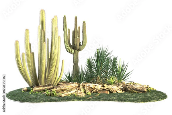 Fototapeta Cacti yucca rocks logs and grass arranged on a small hill.