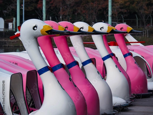 Fototapeta OLYMPUS DIGITAL CAMERA