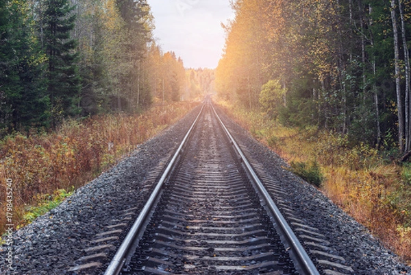 Obraz Railway line in the forest.