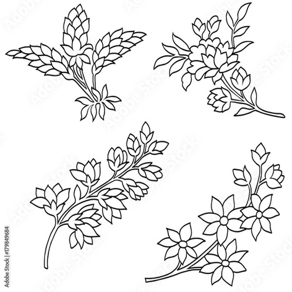 Obraz Set of black and white flowers