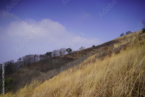 Obraz 민둥산 억새 축제