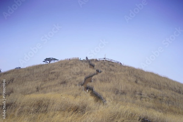 Obraz 민둥산 억새 축제