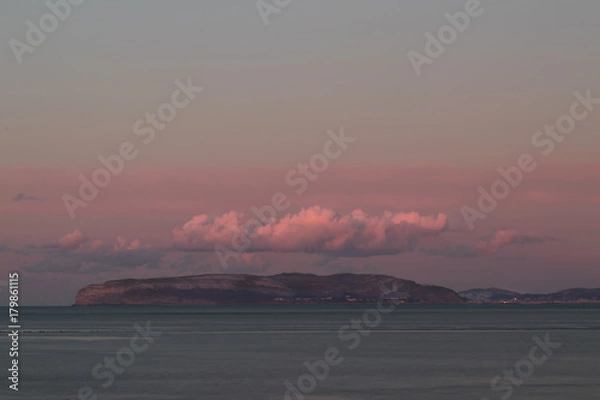 Fototapeta Pink Orme