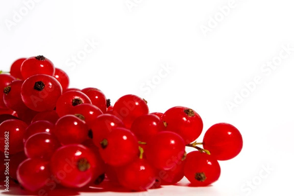 Obraz Rote Johannisbeere 2