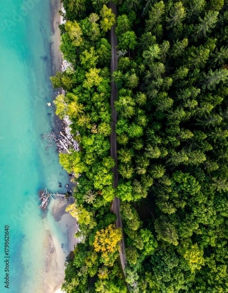 Obraz Aerial view showcases a road slicing through vibrant forest bordering turquoise water. The contrast creates a stunning natural composition