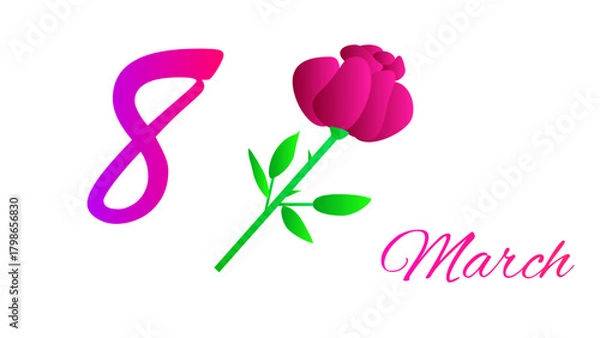 Obraz Pink tulip on white background. 8 March greeting card. Vector illustration.