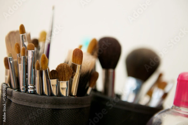 Obraz professional makeup brushes