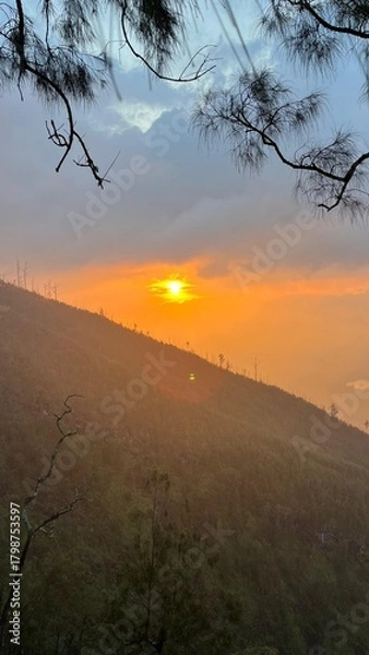 Obraz sunset in the desert