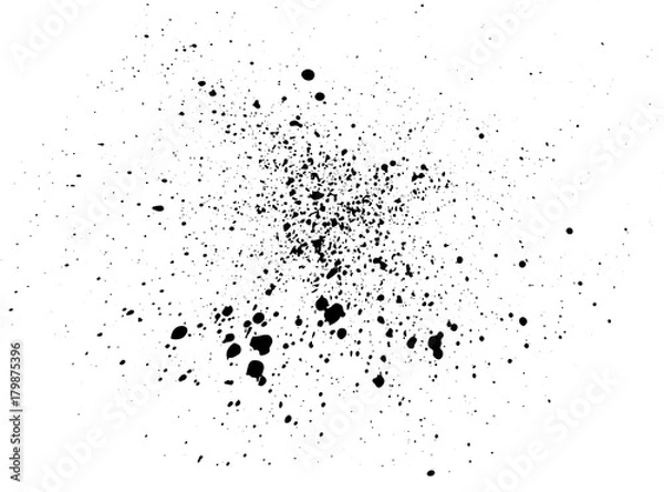 Fototapeta Black paint, ink splash, brushes ink droplets, blots. Black ink splatter background, isolated on white. Vector illustration.
