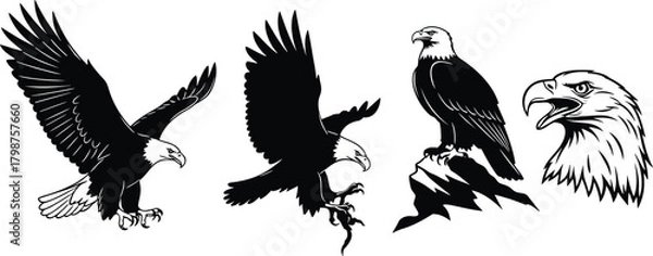 Fototapeta Bald Eagle Flying and Perched Head Profile Vector Illustration Set