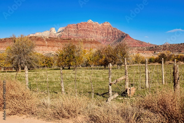 Obraz Autumn View of the Orchard in Grafton Ghost Town near Zion National Park in Utah.