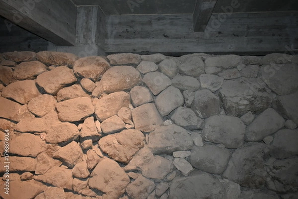 Obraz 会津若松　猪苗代湖　鴨