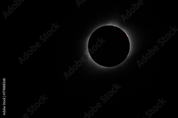 Fototapeta Solar Eclipse 2017