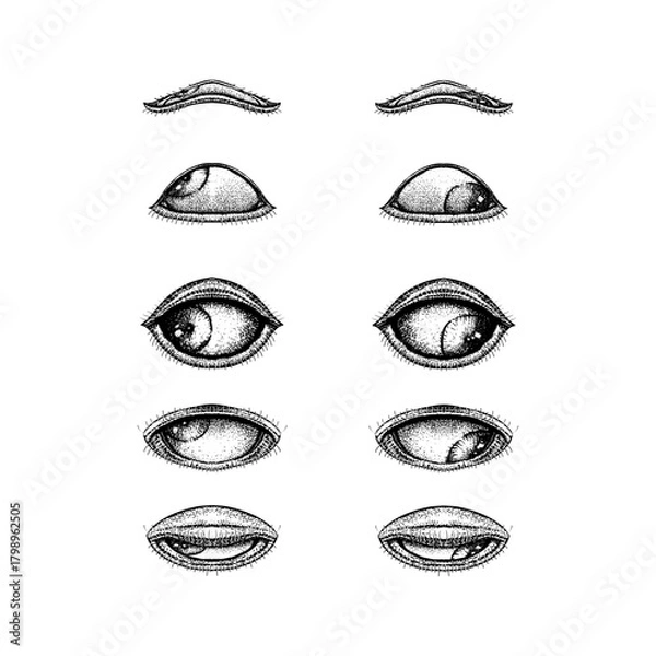 Obraz various eye expressions, drawn in a vintage stippling style. Each pair of eyes showcases different positions of the eyelids and pupils, highlighting subtle emotional variations and anatomical details.