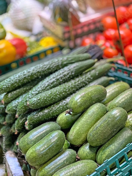 Obraz These green cucumbers are ready to be purchased and enjoyed as a healthy snack or ingredient in a meal