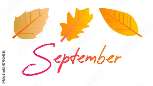 Obraz Autumn leaves with lettering on white background. Vector illustration.