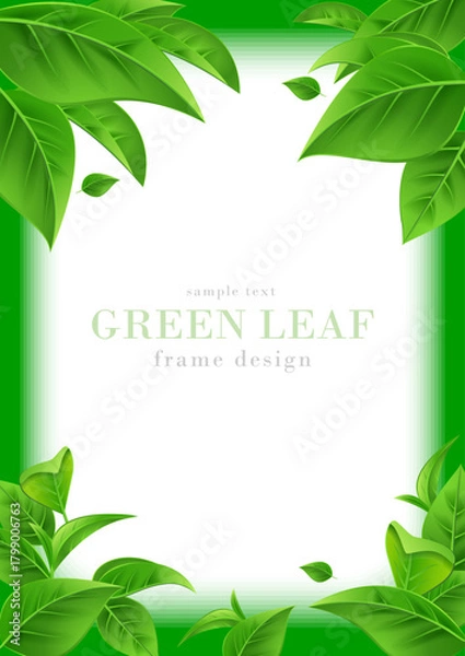 Obraz 青葉のフレームデザイン｜新緑の葉のリアルなベクターイラスト