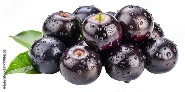 Obraz Fresh acai berries with water droplets and green leaves