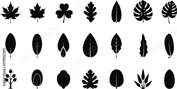 Fototapeta Collection of twenty one black stylized leaf silhouettes with textured edges on a white background