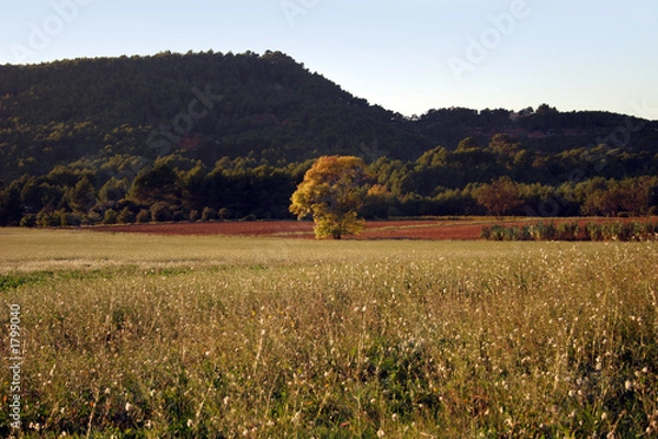Obraz aix en provence