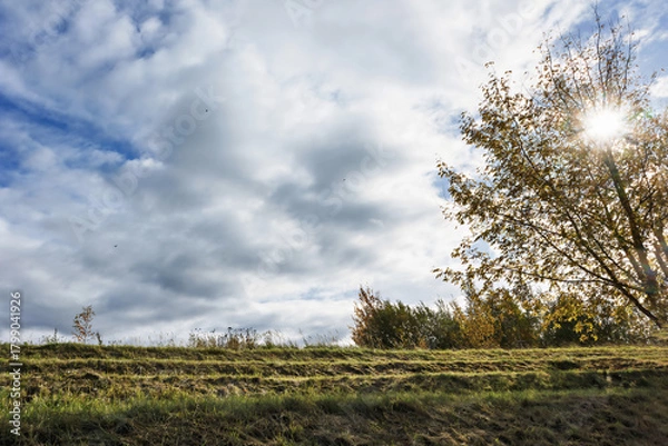 Fototapeta Autumn afternoon with the sun shining through the clouds and trees