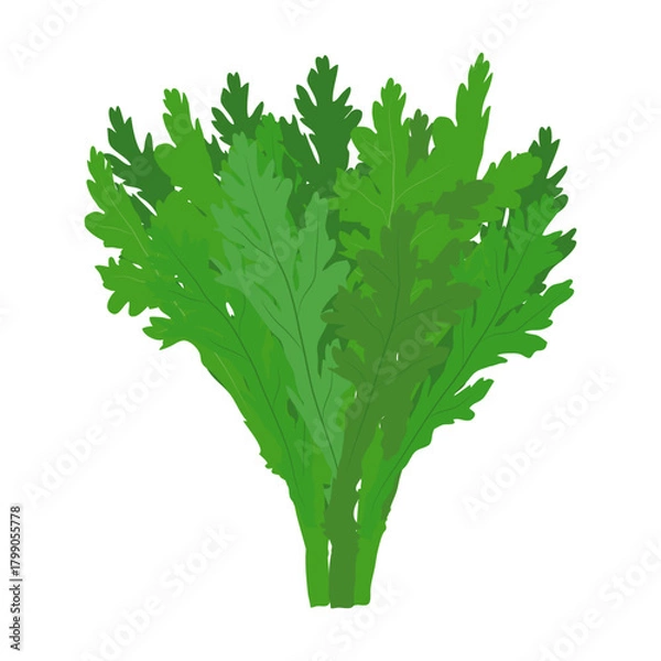 Obraz 春菊　葉物野菜のイラスト素材