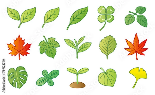 Fototapeta 葉っぱ　葉　アイコン　イラストセット