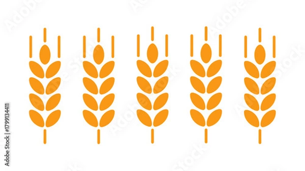 Obraz Five golden gradient stylized wheat or grain ears, minimalist vector icon design for agriculture, harvest, and food concepts.