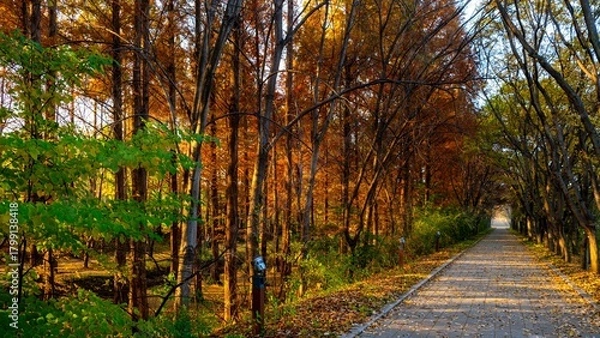 Obraz 가을 숲에서