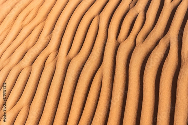 Obraz Desert sand dune patterns creating abstract ripple texture in oman
