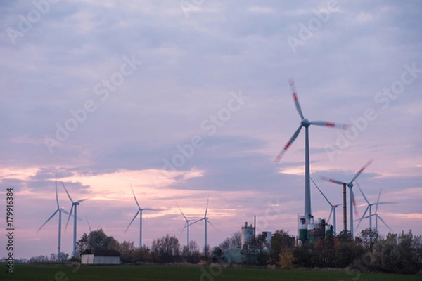Fototapeta wind turbines on a field during sunset