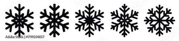 Fototapeta snowflake star vector design with black silhouette and white background