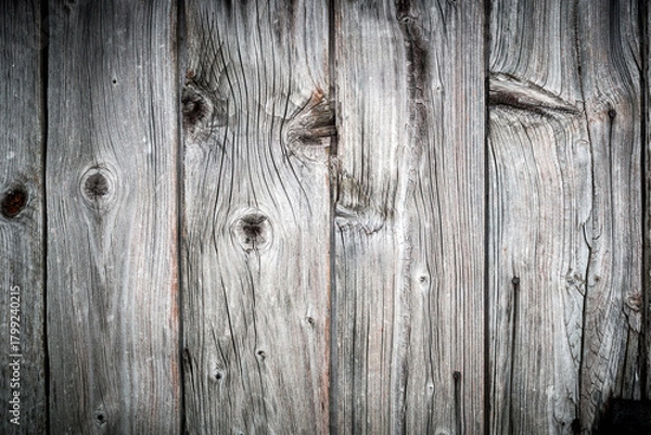 Obraz The old wood texture with natural patterns