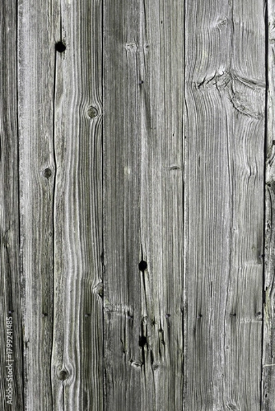 Obraz The old wood texture with natural patterns