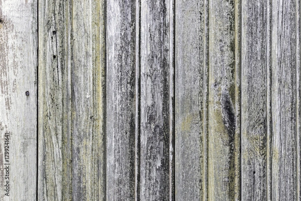 Obraz The old wood texture with natural patterns