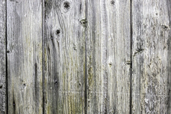 Obraz The old wood texture with natural patterns