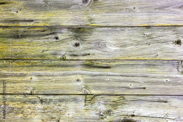 Obraz The old wood texture with natural patterns