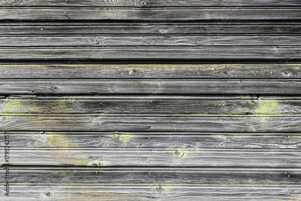 Obraz The old wood texture with natural patterns