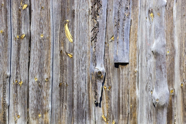 Obraz The old wood texture with natural patterns