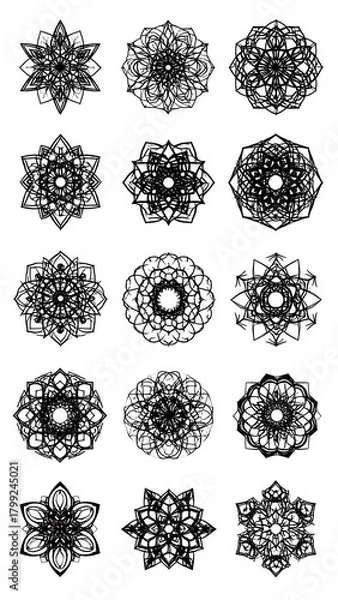 Fototapeta Collection of fifteen intricate, symmetrical, and abstract floral-esque vector designs