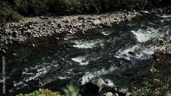 Fototapeta creek, stream, river in the nature