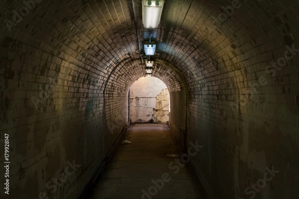 Obraz Old Tiled Tunnel with Fluorescent Lights