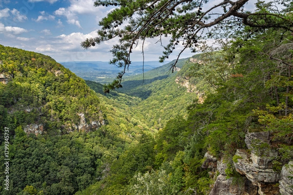 Obraz Blick ins Thal